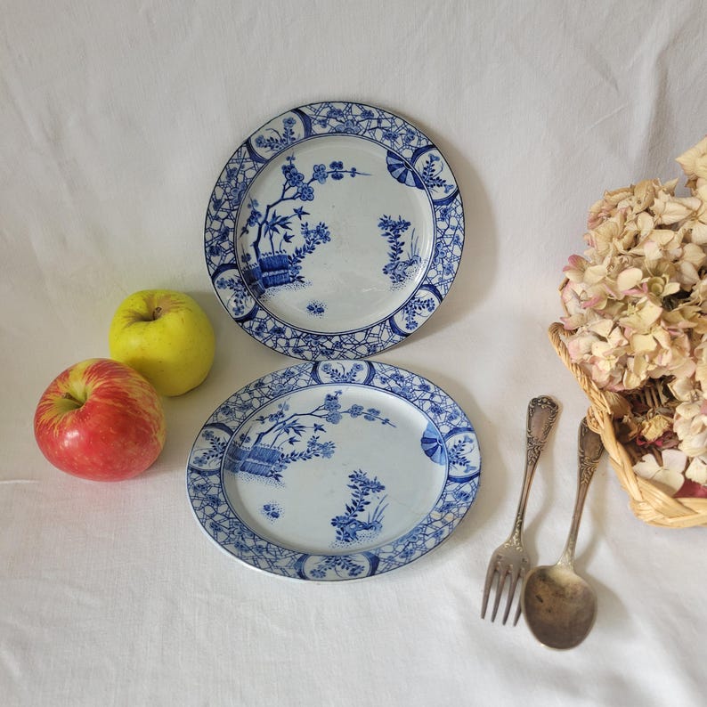 May include: Two blue and white porcelain plates with a floral design. The plates have a white background with blue floral patterns and a blue border.