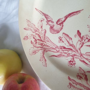 French antique flat dessert / breakfast plate, red & white iris floral w ducks, Aesthetic Movement transferware c1910, EC Salins, France zdjęcie 4