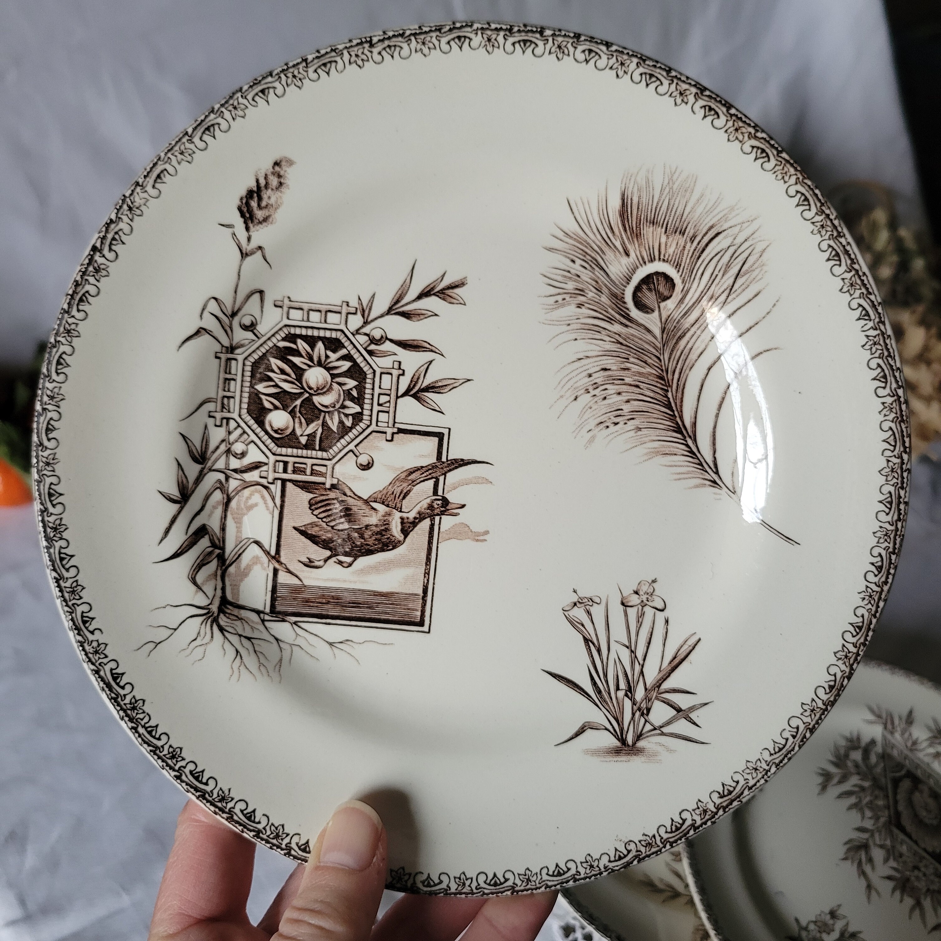 * antique plate ୨୧* フラワーレリーフ アンティークプレート Antique French Transferware Plates, Peacock Floral Design, Set of