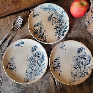 Könnte beinhalten: Drei antike Keramikteller mit blauen Blumen- und Libellenmotiven. Die Teller haben einen cremefarbenen Hintergrund und sind auf einer Holzoberfläche angeordnet. Ein roter Apfel und Besteck sind ebenfalls zu sehen.