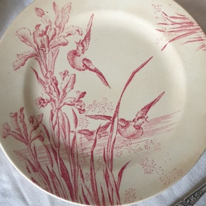 French antique flat dessert / breakfast plate, red & white iris floral w ducks, Aesthetic Movement transferware c1910, EC Salins, France zdjęcie 5