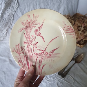 French antique flat dessert / breakfast plate, red & white iris floral w ducks, Aesthetic Movement transferware c1910, EC Salins, France zdjęcie 1