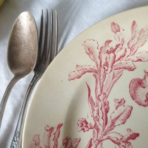 French antique flat dessert / breakfast plate, red & white iris floral w ducks, Aesthetic Movement transferware c1910, EC Salins, France zdjęcie 3