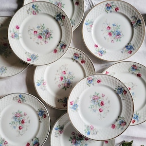 （Ｂ！）LEMOGES 葉型ストライプ皿 8枚セット Drb limoges - Etsy 日本