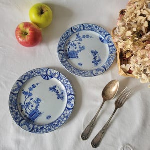 May include: Two blue and white porcelain plates with a floral design. The plates have a delicate blue and white pattern with a floral motif.