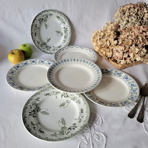 Set of 6 French antique mismatched ironstone dinner plates, green transferware, cottage style. In very good condition by St Amand France
