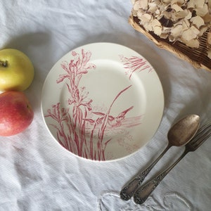 French antique flat dessert / breakfast plate, red & white iris floral w ducks, Aesthetic Movement transferware c1910, EC Salins, France zdjęcie 10