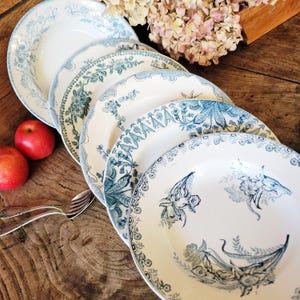 Può includere: Una collezione di piatti antichi in ceramica bianca con motivi floreali blu. I piatti variano nel design, con intricati motivi botanici e bordi smerlati. Sono visibili anche due mele rosse e una forchetta d'argento.