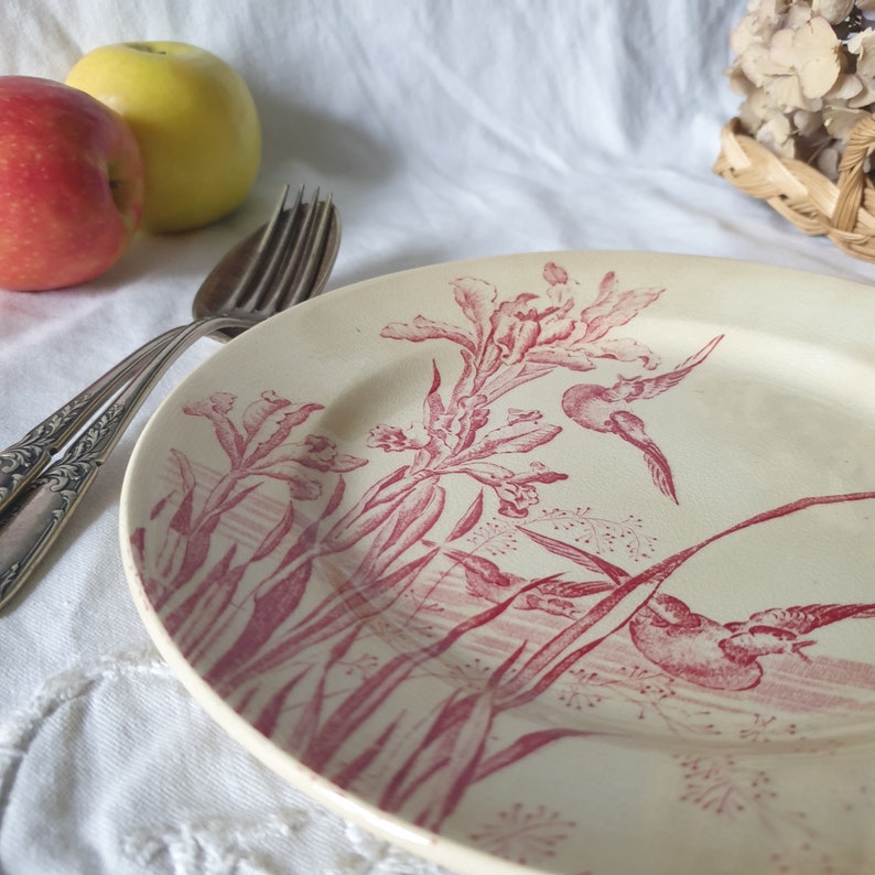French antique flat dessert / breakfast plate, red & white iris floral w ducks, Aesthetic Movement transferware c1910, EC Salins, France zdjęcie 8