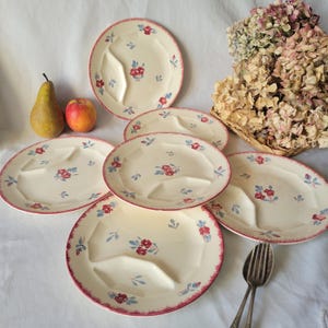 SET of 6 French vintage divided plates asparagus plates, cream with hand painted flowers, Danube pattern Sarreguemines, france