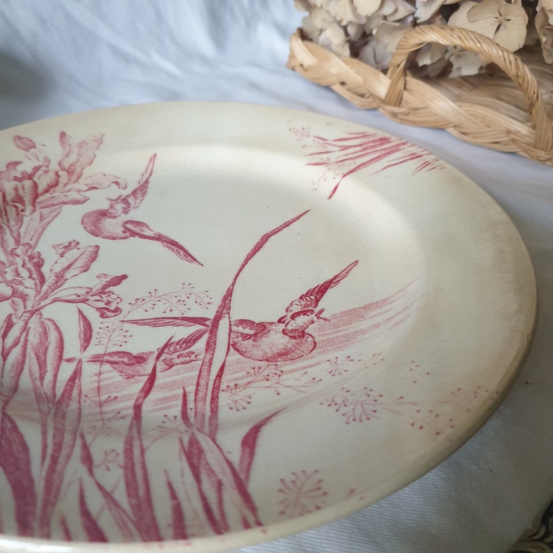 French antique flat dessert / breakfast plate, red & white iris floral w ducks, Aesthetic Movement transferware c1910, EC Salins, France zdjęcie 2