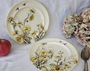 Exquisite antique floral plate, hand-colored yellow daisies, bees, polychrome transferware w insects George Jones & Sons Staffordshire c1880