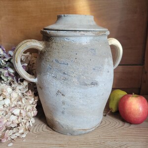 May include: An aged, off-white ceramic jar with a lid and two handles. The jar has a weathered appearance with visible texture and colour variations. A red apple and a green pear sit beside the jar. Dried flowers are on the left.