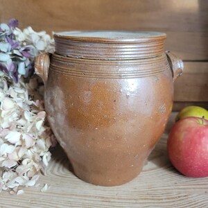 以下が含まれることがあります： 蓋付きの茶色の炻器の壺。両側にハンドルが2つあり、水平な溝のディテールが施されています。アンティークの壺は、ドライフラワーと赤いリンゴと一緒に展示されており、素朴または農家の美学を示唆しています。