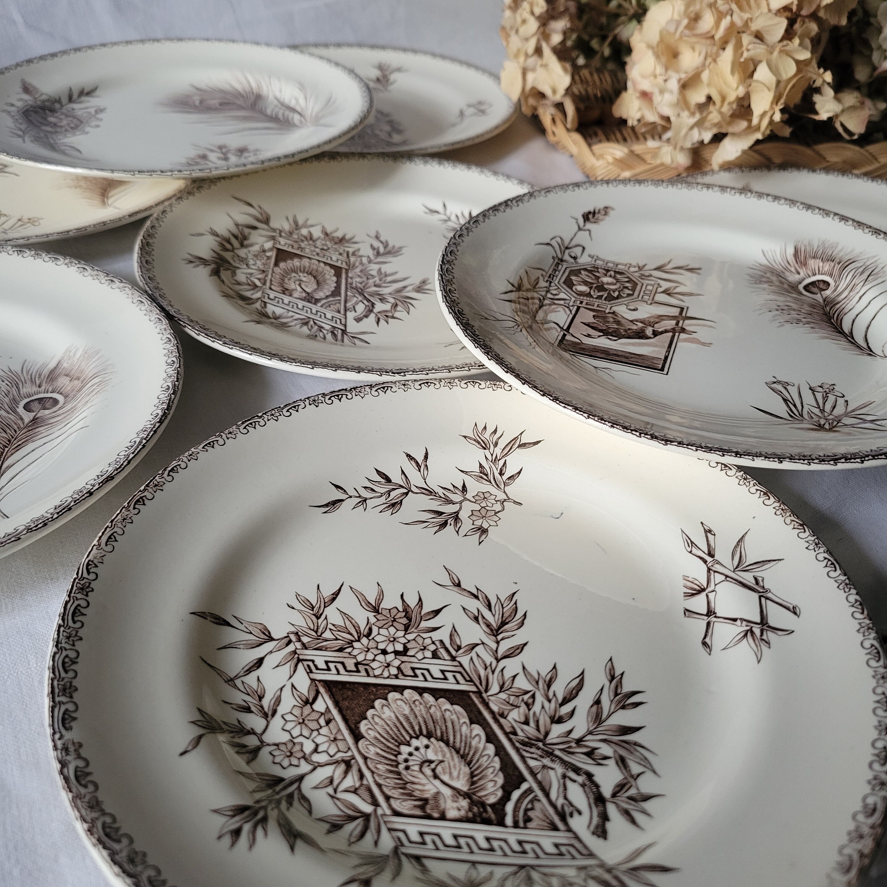 Antique French Transferware Plates, Peacock Floral Design, Set of
