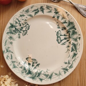 Może przedstawiać: Biały ceramiczny talerz z zielonym wzorem kwiatowym i liściastym na obrzeżu. Talerz przedstawia szczegółową ilustrację winorośli, liści i kwiatów. Talerz jest okrągły i wydaje się być w stylu vintage.