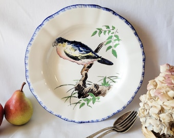 Pode incluir: Prato de cerâmica branco com borda azul ondulada, apresentando um pássaro pintado à mão empoleirado em um galho com folhas verdes. O pássaro tem plumagem azul, preta e rosa. Um garfo vintage e peras no fundo.