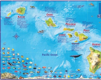 Hawaiian Islands Laminated Wall Map