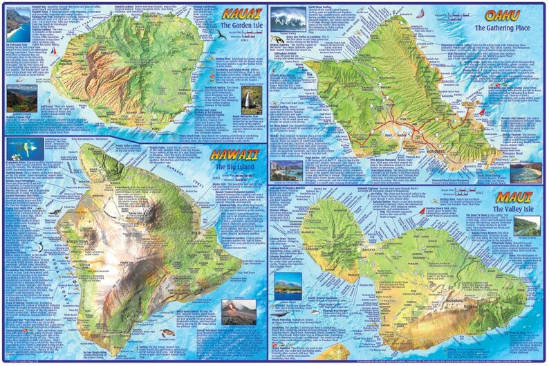 Hawaiian Islands Laminated Wall Map image 3