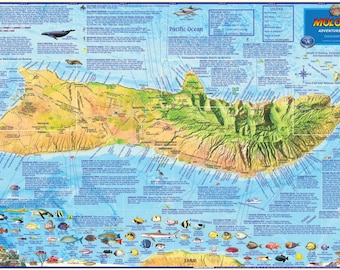 Molokai, Hawaii, Laminated Wall Map