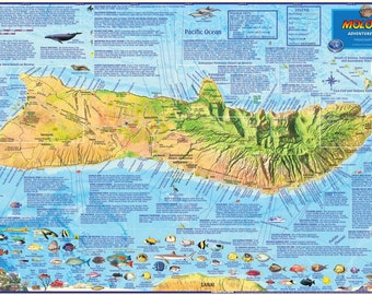 Mapa de pared laminado de Molokai, Hawái