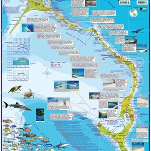 Carte murale plastifiée, îles Eleuthera, Bahamas