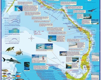 Mapa mural laminado de la isla Eleuthera, Bahamas