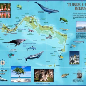 Carte murale plastifiée des îles Turks et Caicos