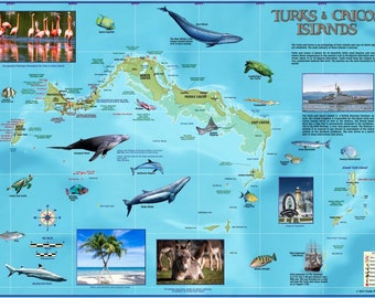 Mapa mural laminado de las Islas Turcas y Caicos