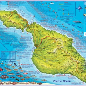 Carte murale plastifiée de l'île de Santa Catalina