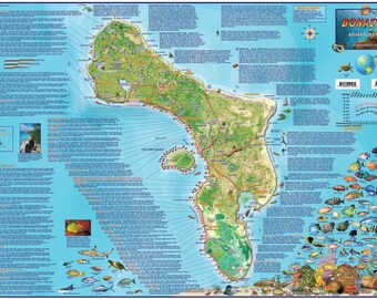 Bonaire Laminated Wall Map