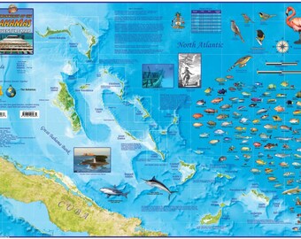 The Bahamas Laminated Wall Map