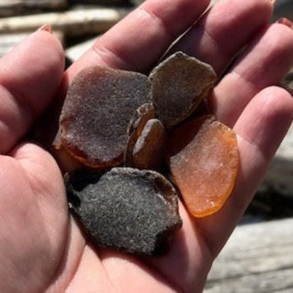 Amber Sea Glass - Real Tumbled Beach Glass from PNW beaches - Family business, Beach Glass, Sea Glass, PNW Beach Glass, Beach Glass Crafts