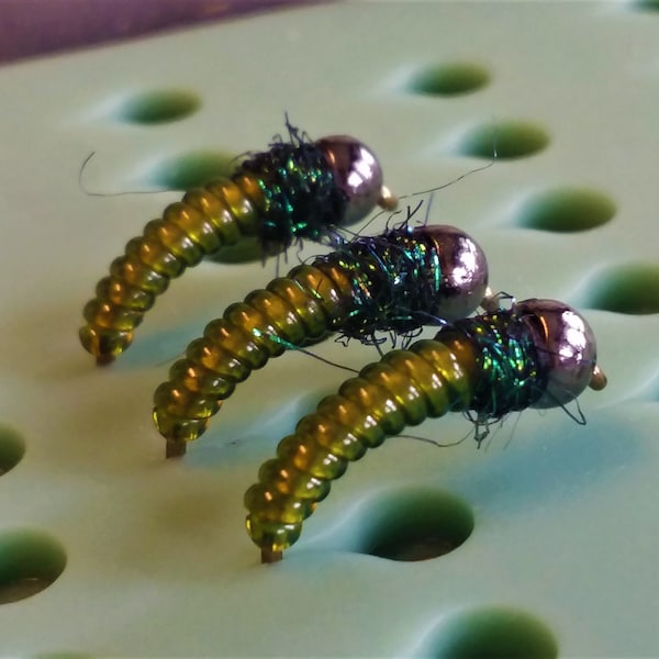 3- Tungsten Gummy Caddis Larvae. Caddis Flies. Nymph Flies. Euro Nymphs.