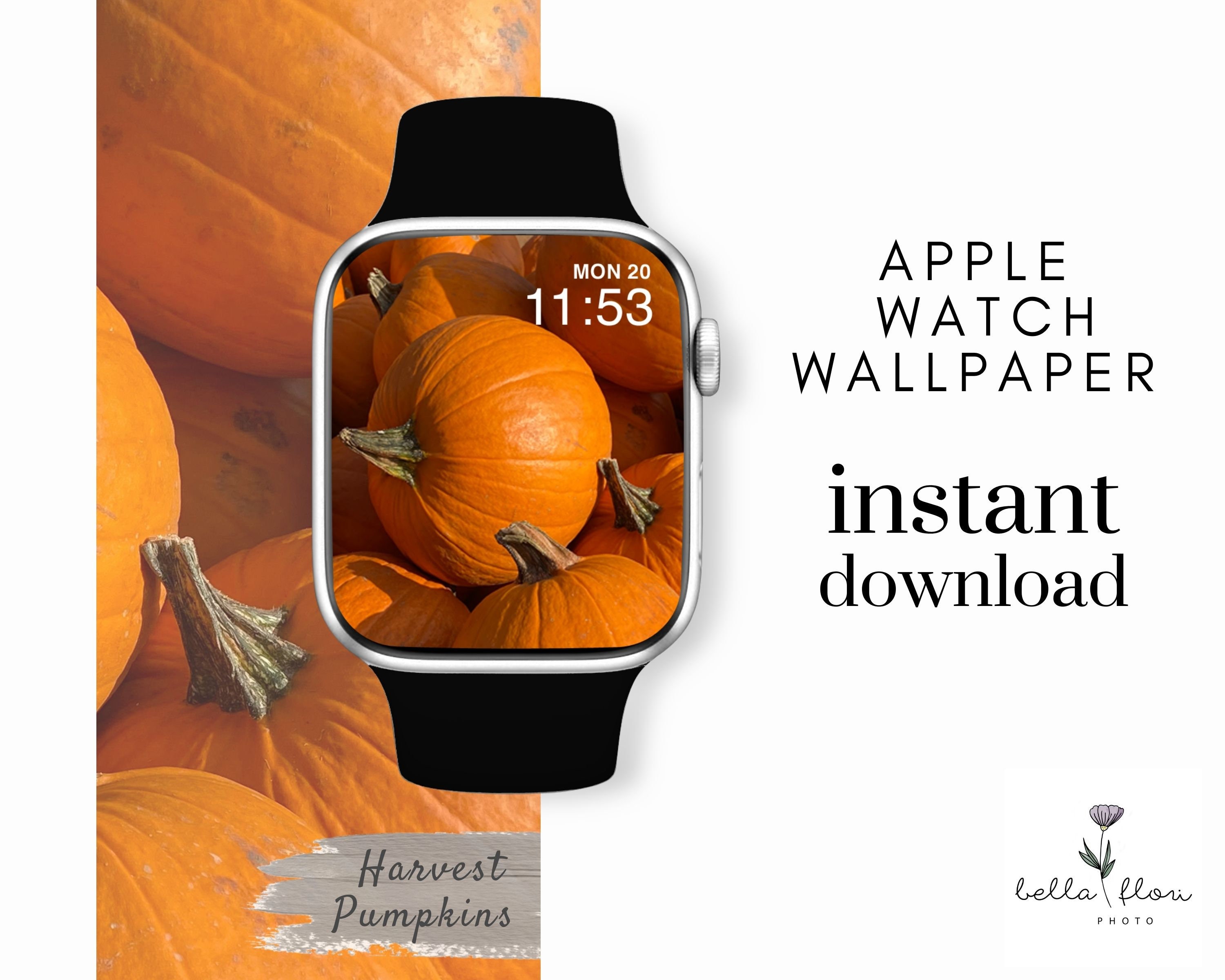 Apple Watch Face, Fall Apple Watch, Harvest Pumpkins, Watch Background