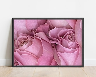 Pink Rose Wall Art Print, Pink Rose Photo, Flower Photography Prints, Pink Rose Wall Prints,Flower Photography Digital Prints, Blush Roses