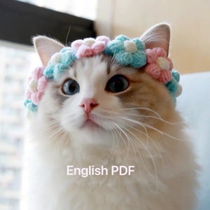 Può includere: Un gatto bianco con gli occhi azzurri che indossa una corona di fiori all'uncinetto con fiori rosa e blu.