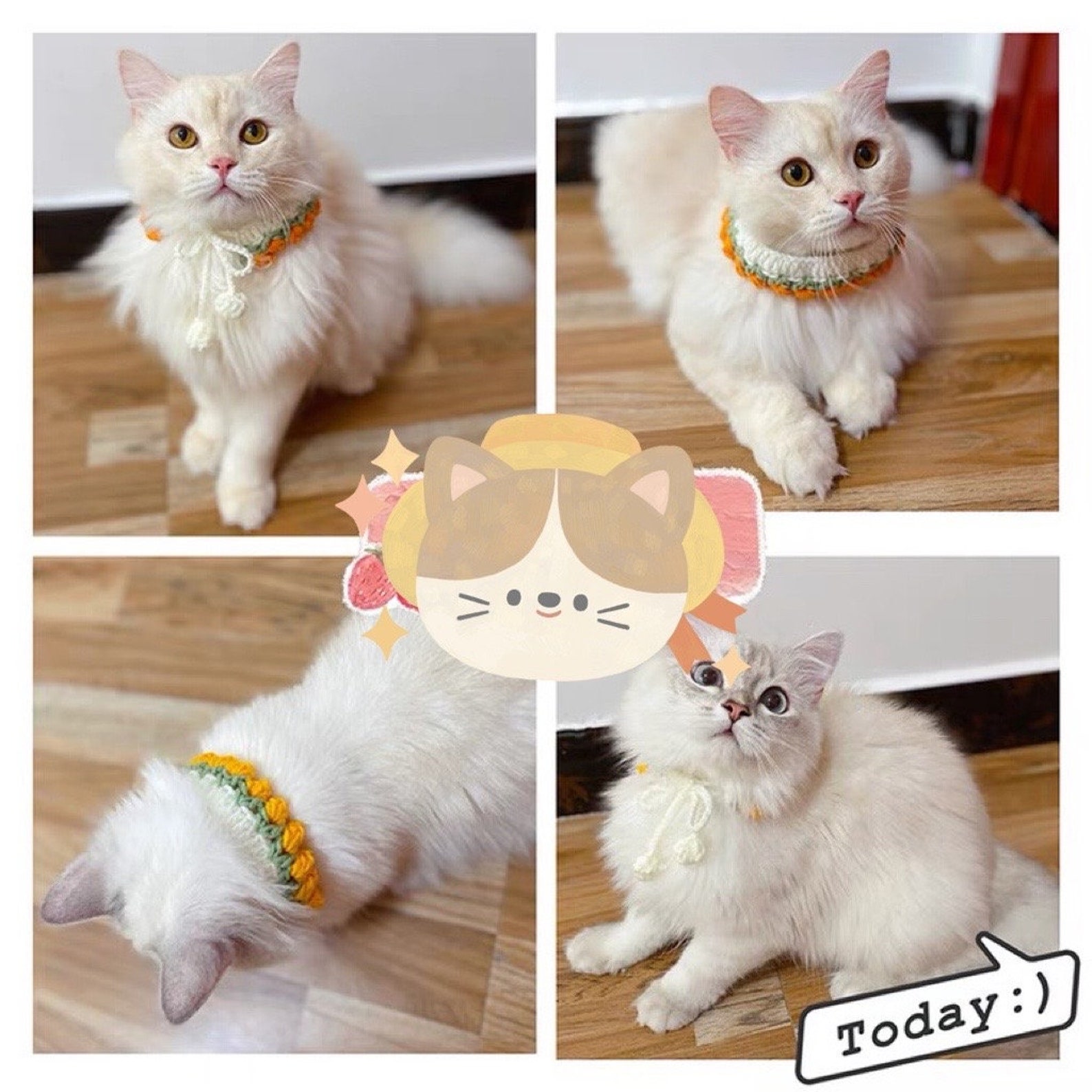 Pet Collar Crochet Pattern English Crochet Pet Collar Etsy