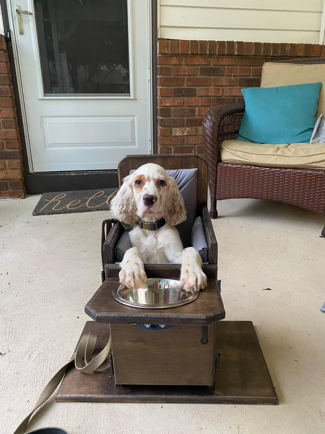 Custom Bailey Chair for Dogs With Megaesophagus LOCAL PICKUP Etsy