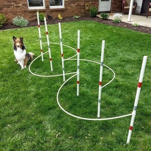 May include: A brown and white dog sits in front of a white agility course with red and gray markings. The course is set up in a grassy area with a brick house in the background.
