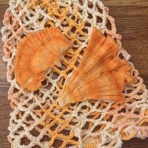 Handmade Net Produce Bag Reusable Crochet Mesh Bag 100% Cotton L image 2