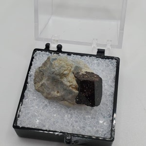 Neptunite on Blueschist Thumbnail Specimen