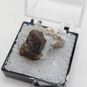 Neptunite on Blueschist Thumbnail Specimen