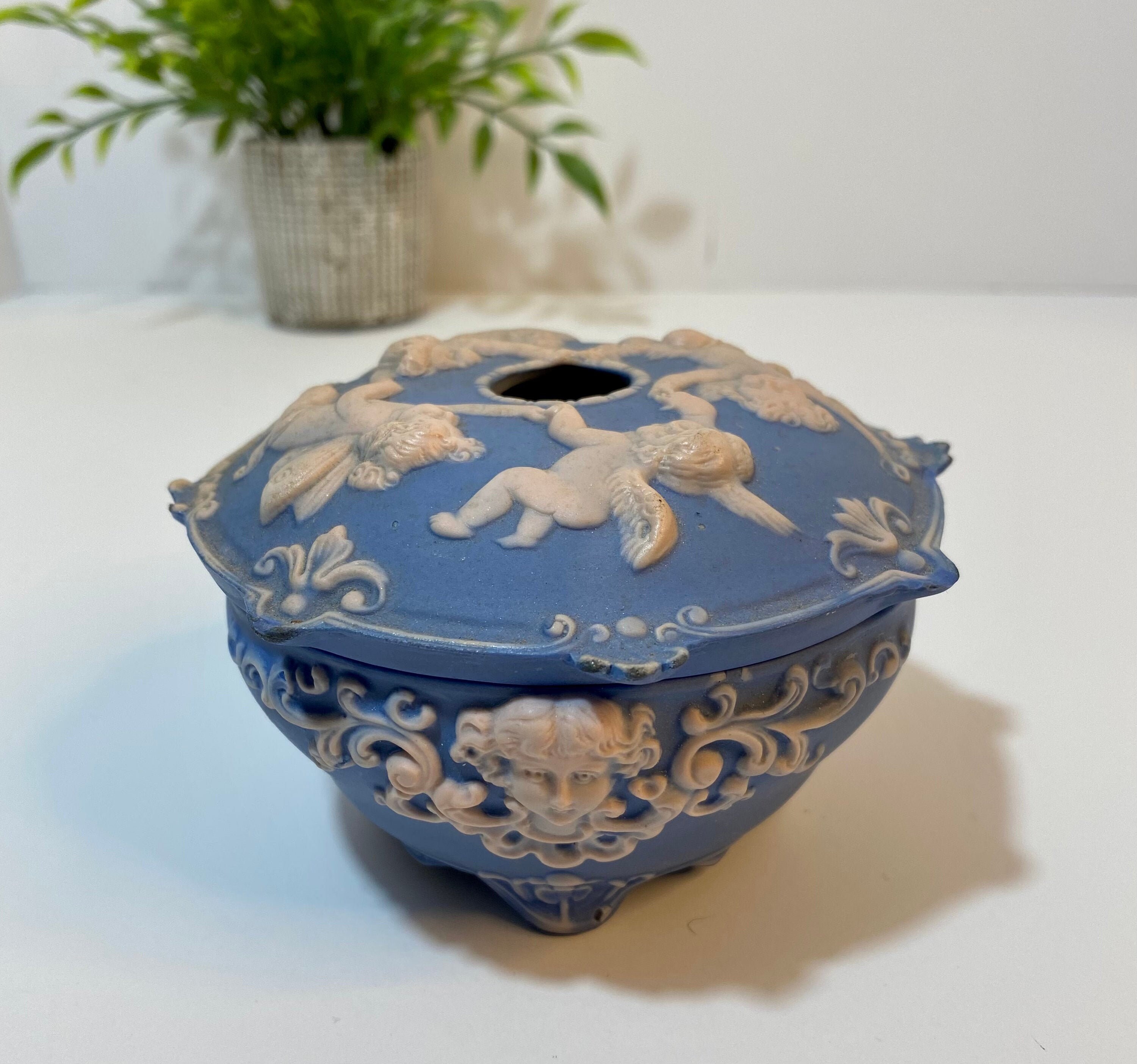 Does shaw direct work in florida nelosyn