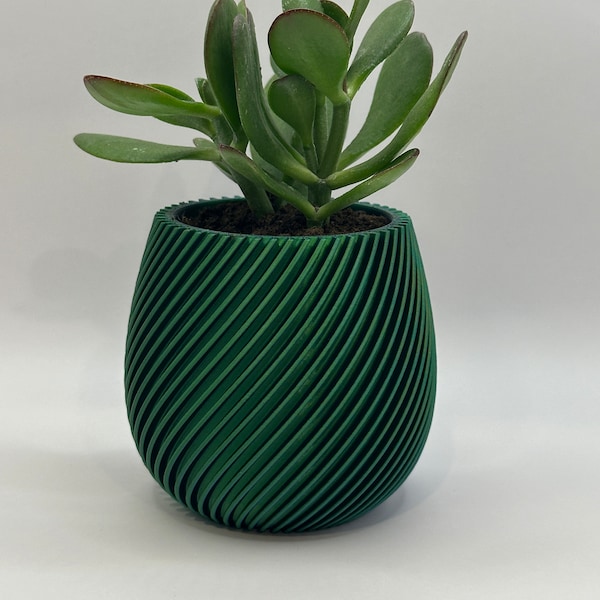 Spiral Succulent Planter Pot 3D Printed, Unique Decor, Cute Plant Pot, Unique Planter, Cactus Planter