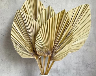 5Pcs 18" H x 6.5" W Trimmed Dried Palm Leaves, Dried Palm Spear, Boho Wedding Decor, Hawaiian Luau  Table Decoration, Dried Wedding Flowers