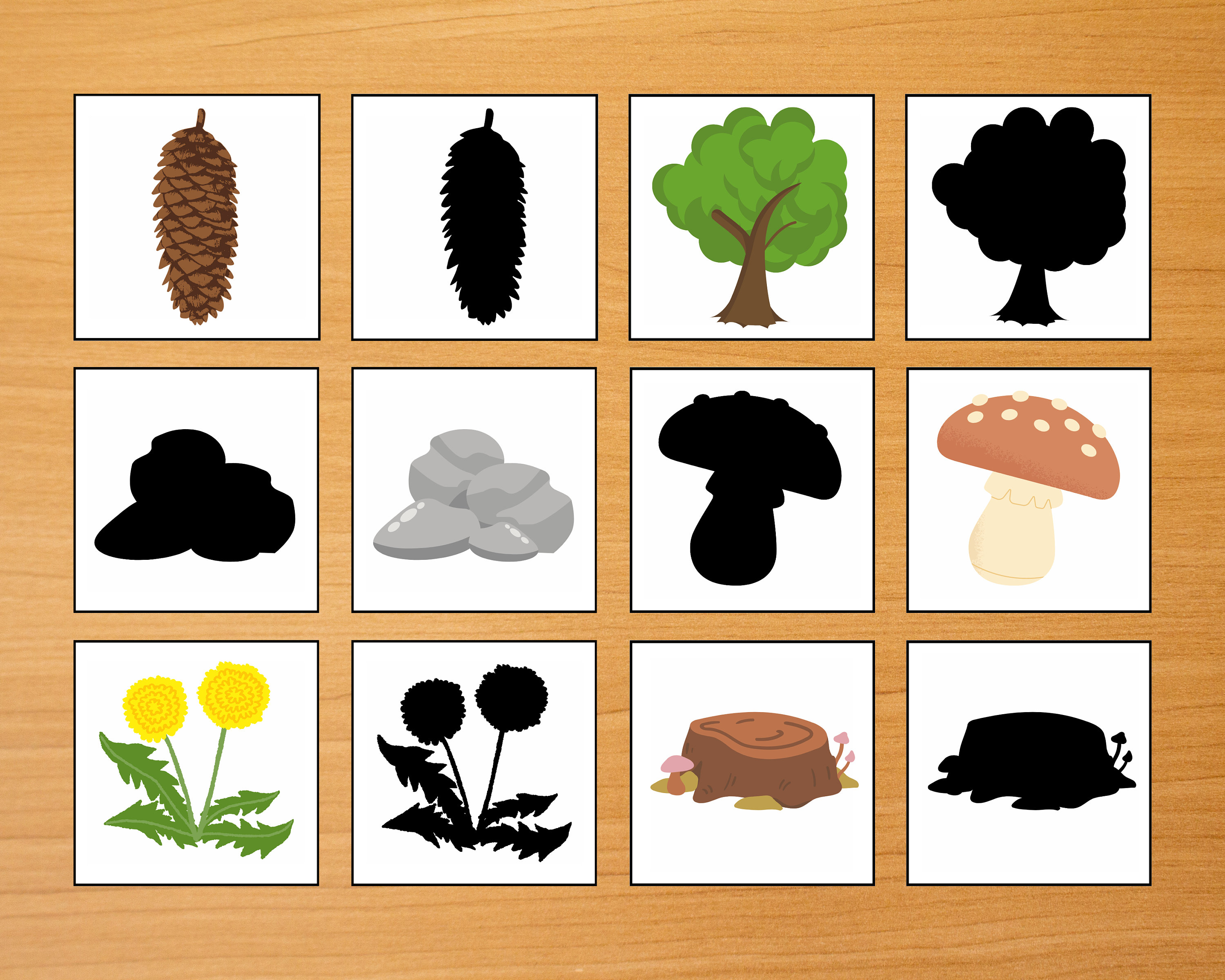 Nature Shadow Matching Cards Printable Digital Download| Montessori ...