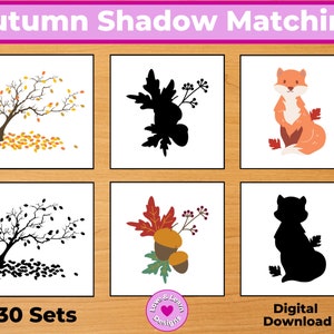 Tarjetas a juego de sombras de otoño/ Imprimibles inspirados en niños/ Descarga digital/ Montessori, Educación en el hogar, Preescolar, PreK, Jardín de infantes
