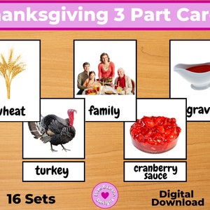 Thanksgiving 3 Part Cards| Child Inspired Printable| Digital Download| Montessori, Homeschool, Preschool, PreK, Kindergarten, School