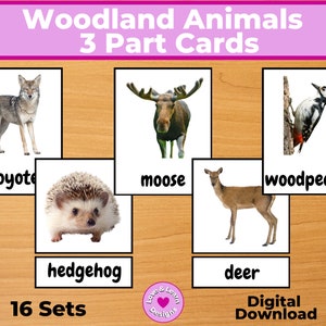 Woodland Animals Cartes en 3 parties| Imprimable inspiré par l’enfant| Téléchargement numérique| Montessori, Homeschool, Préscolaire, PreK, Maternelle, École